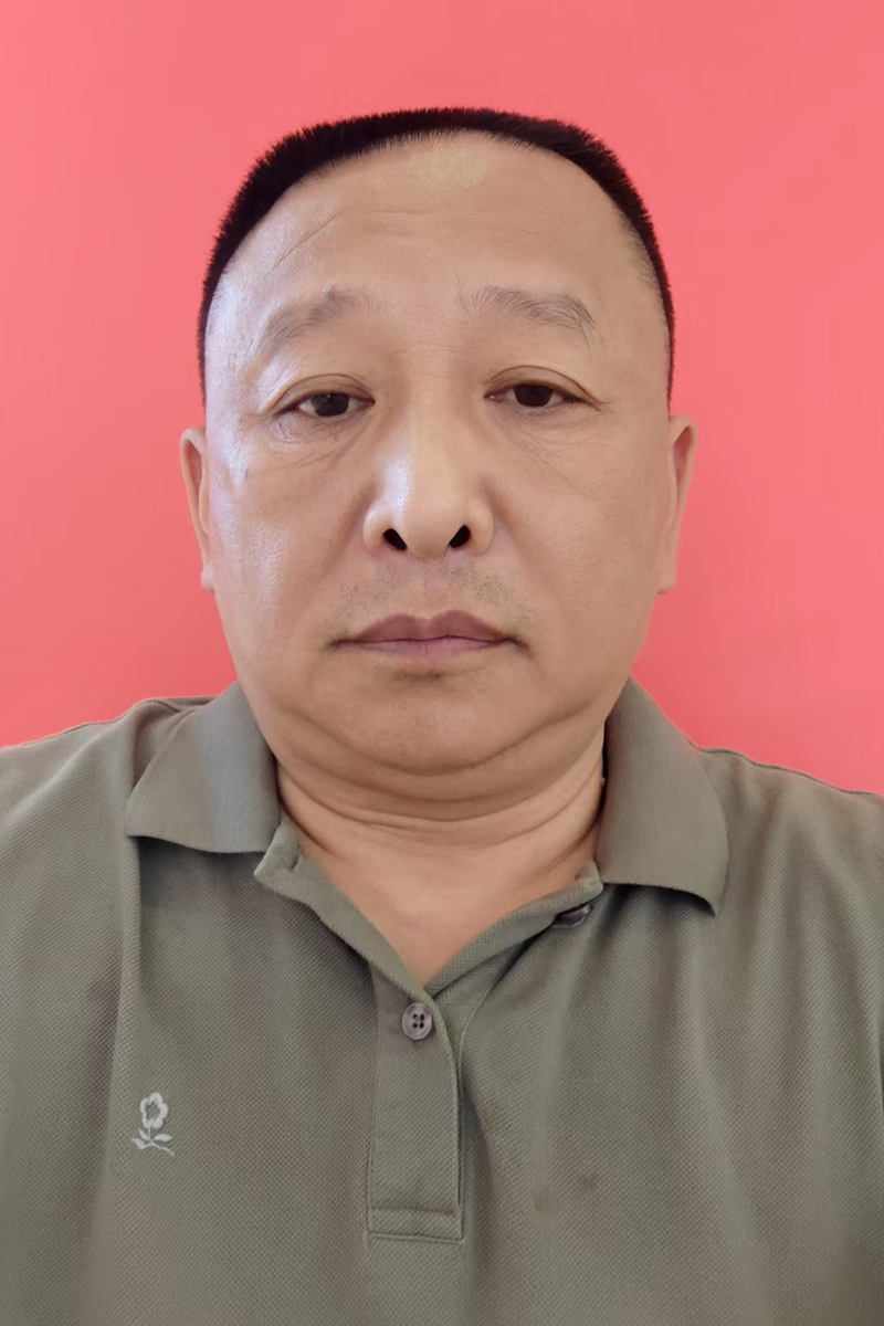 副会长：何金平