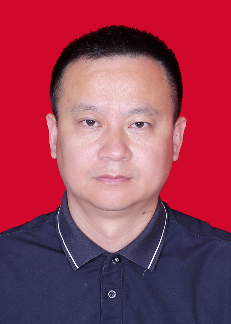 副会长：杨弟平